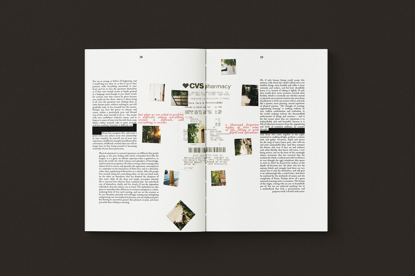 Letters to a Young Poet book design mockup ten.