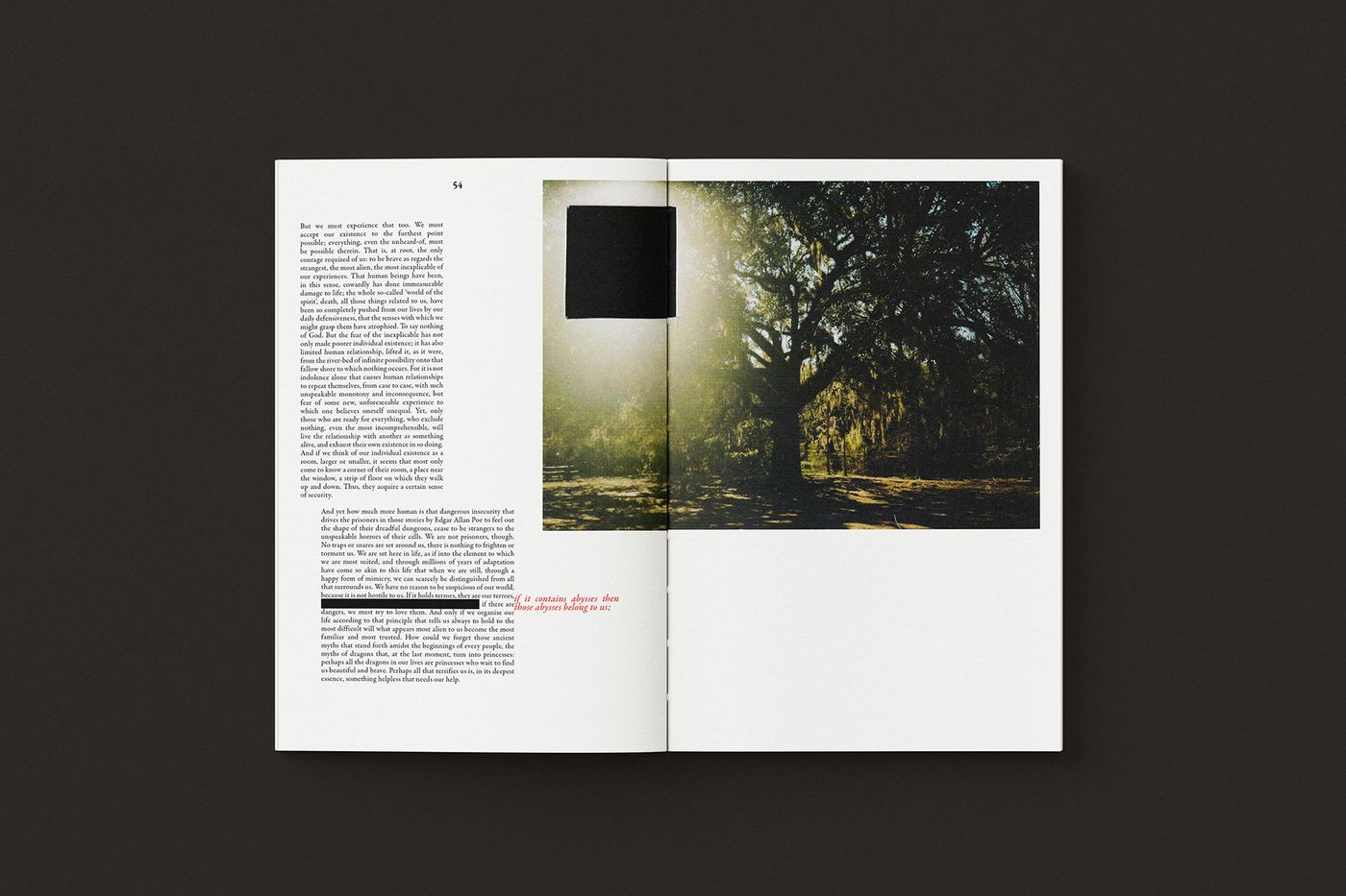 Letters to a Young Poet book design mockup nineteen.