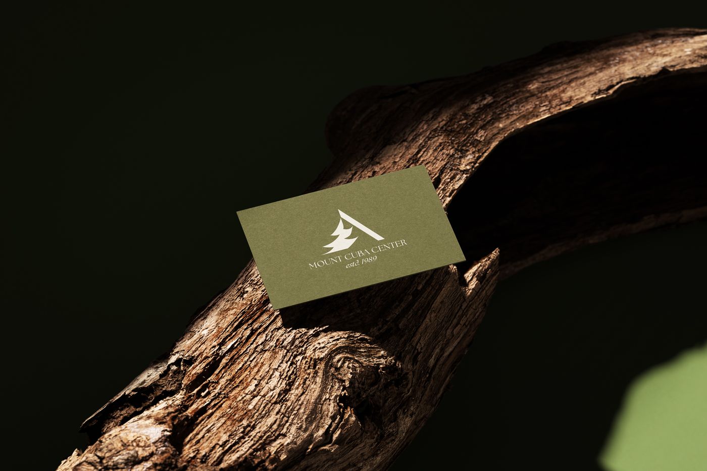 Mt. Cuba Center business card design.