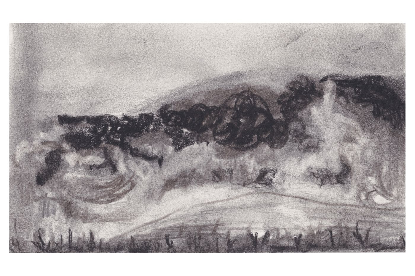 Charcoal landscape drawing titled Searching